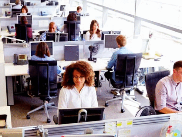 What to Consider About Company Size Before Taking a Job