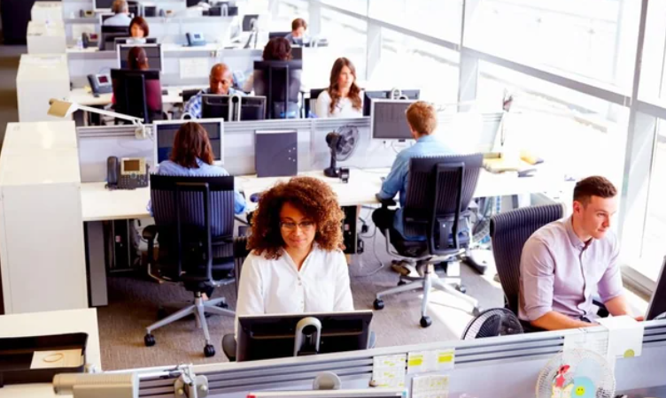 What to Consider About Company Size Before Taking a Job